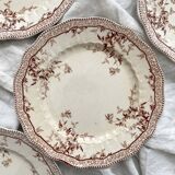 8 Ridgways England Royal Semi Porcelain "Eton" Ironstone Dinner Plates