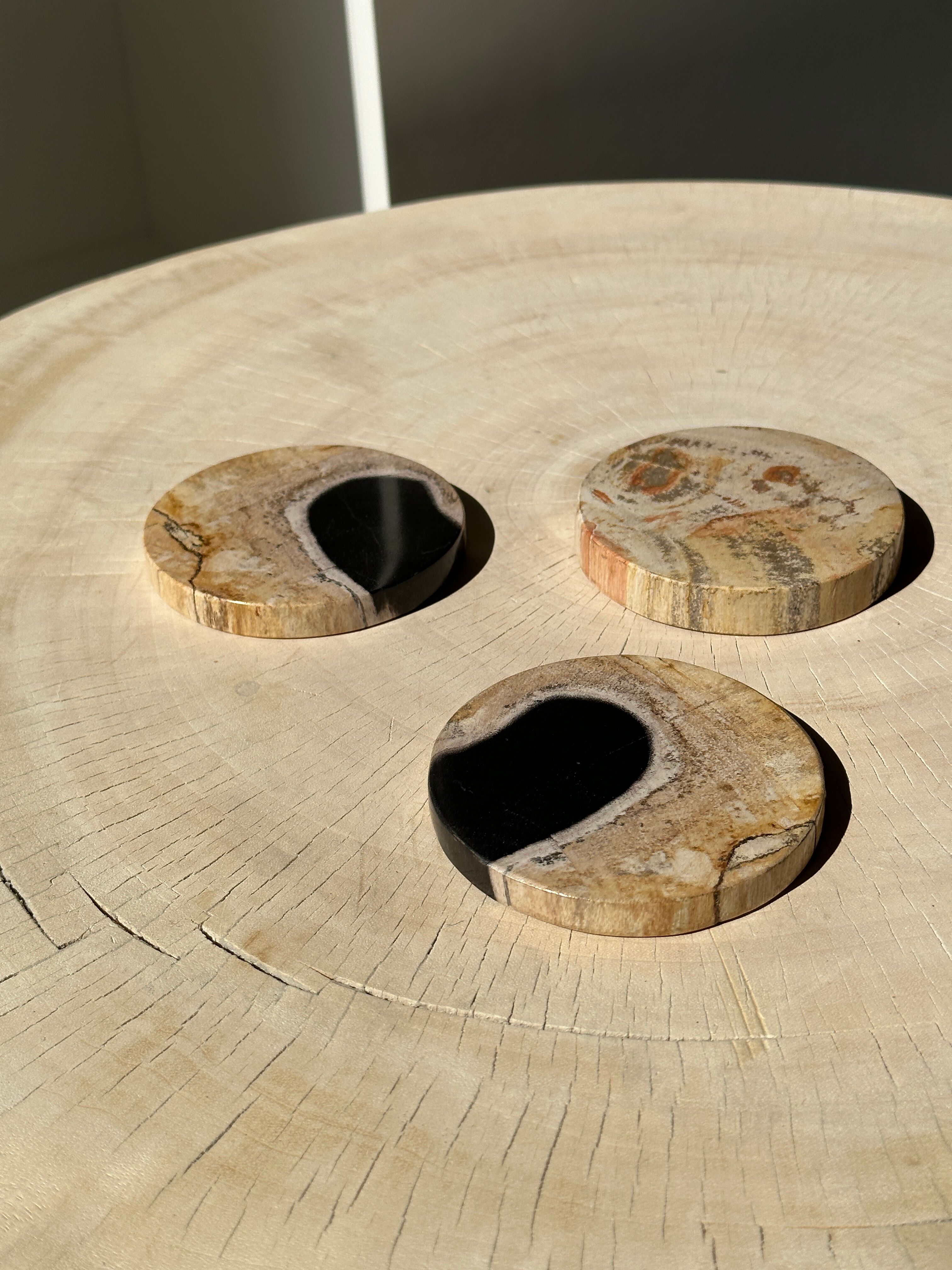 Set of 3 fossilized wooden coasters (clear)