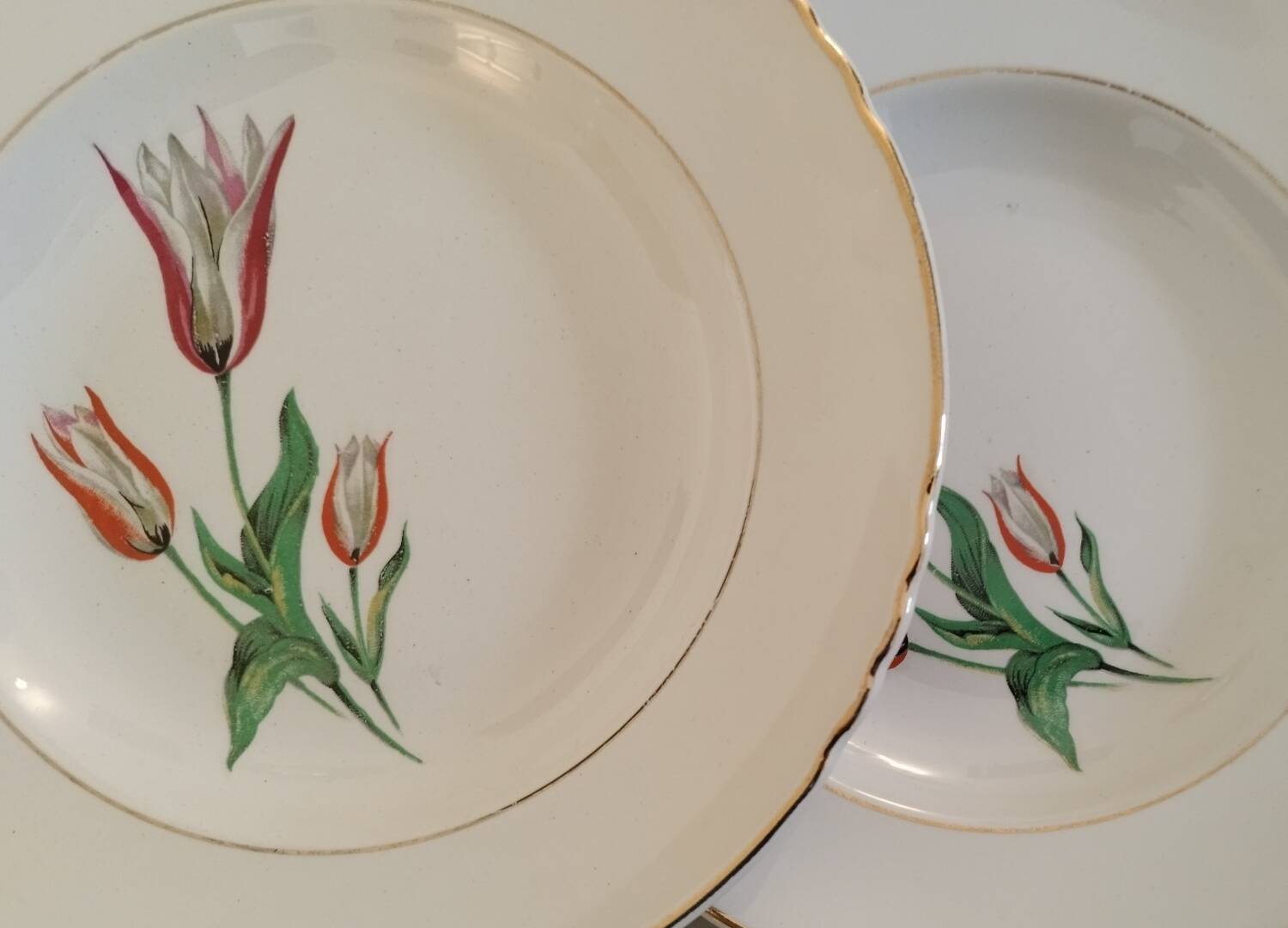 Old earthenware hollow plates Moulin des loups Orchies vintage tulip model