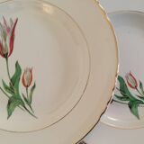 Old earthenware hollow plates Moulin des loups Orchies vintage tulip model