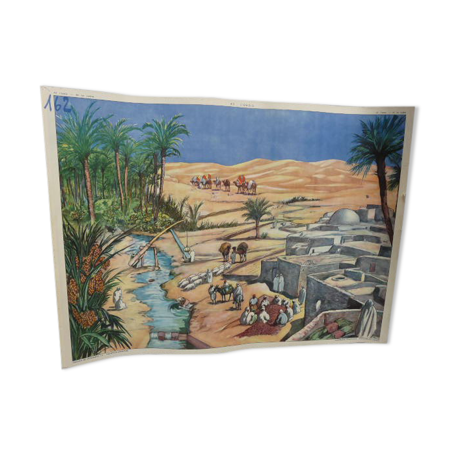 Affiche scolaire éditions rossignol N° 43 et 44 la rizière et l'oasis