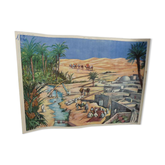 School poster editions nightingale N° 43 and 44 the rice field and the oasis