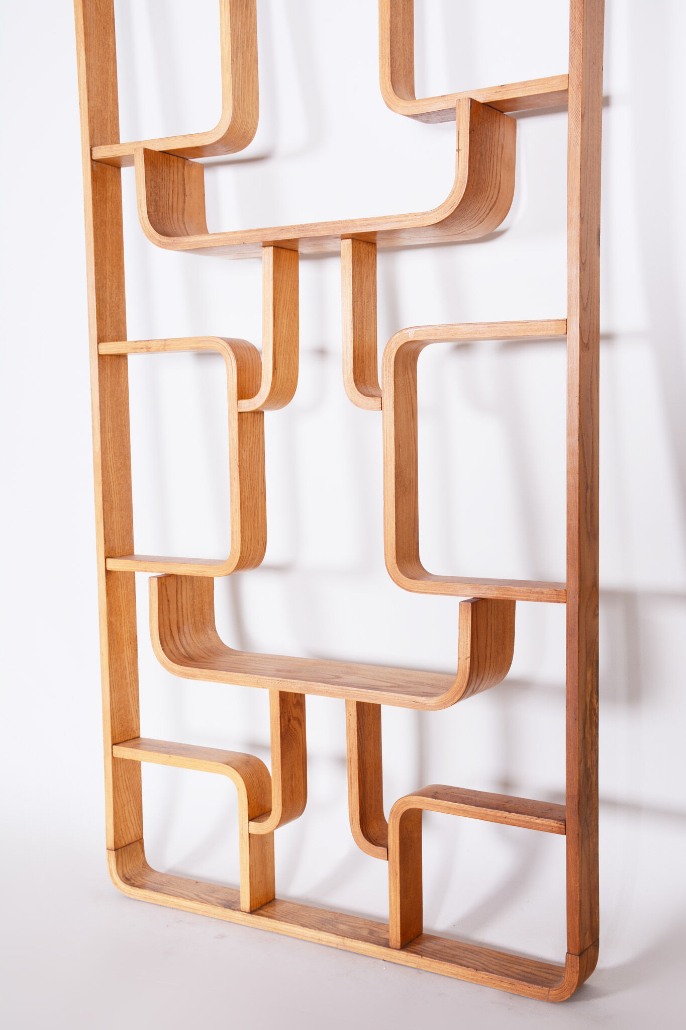 Ash Room Divider Wall Unit, Ludvik Volak for Drevopodnik Holesov, 1960s