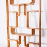 Ash Room Divider Wall Unit, Ludvik Volak for Drevopodnik Holesov, 1960s