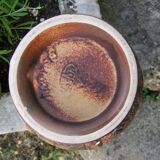 Animal pitcher