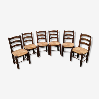 6 chaises paillées