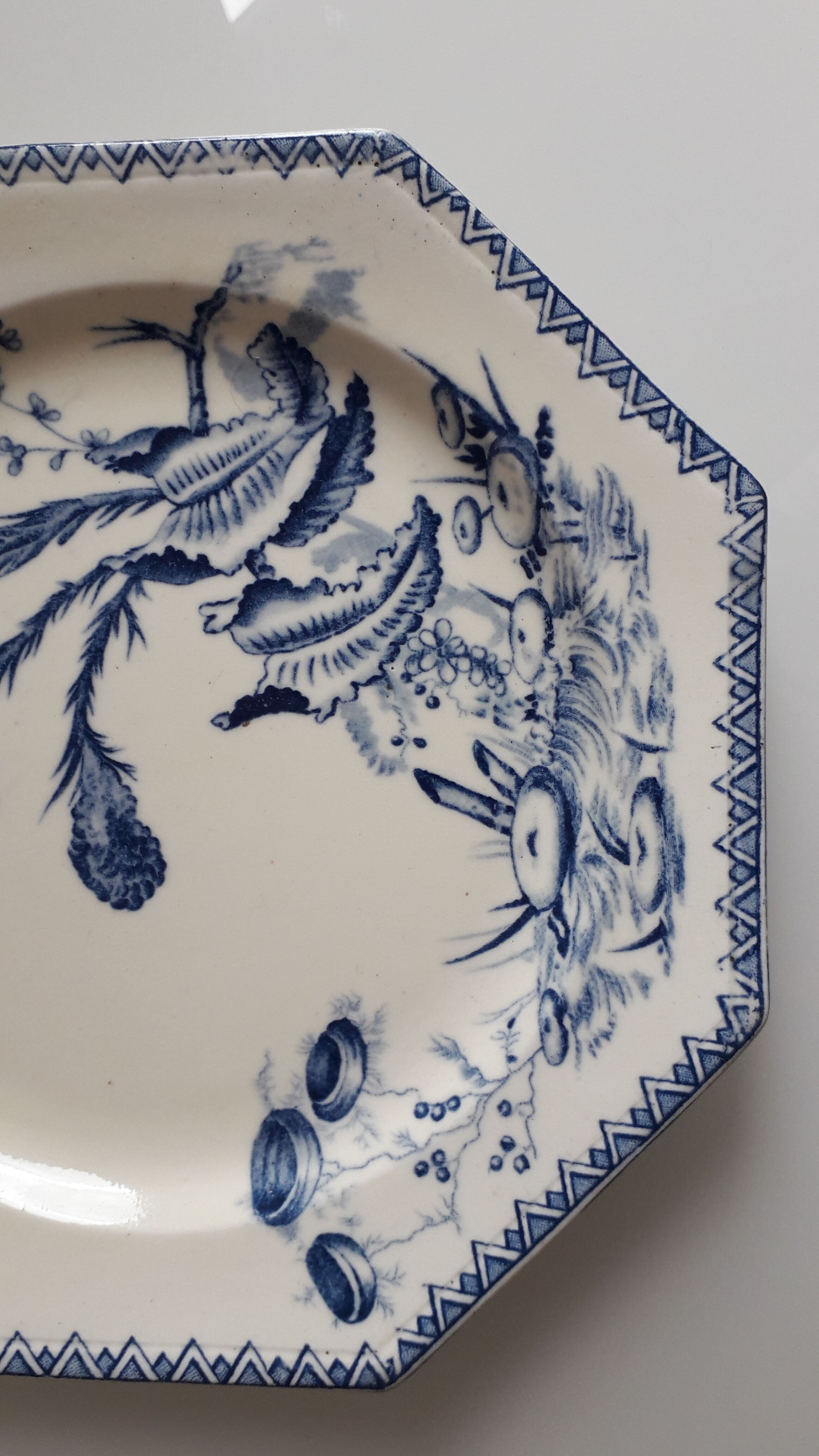 Duo of plates of clairfontaine model INDIANA