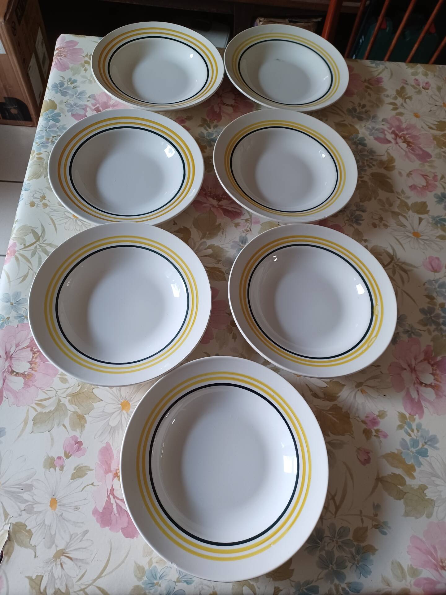 Set of 7 deep plates Moulins des Loups