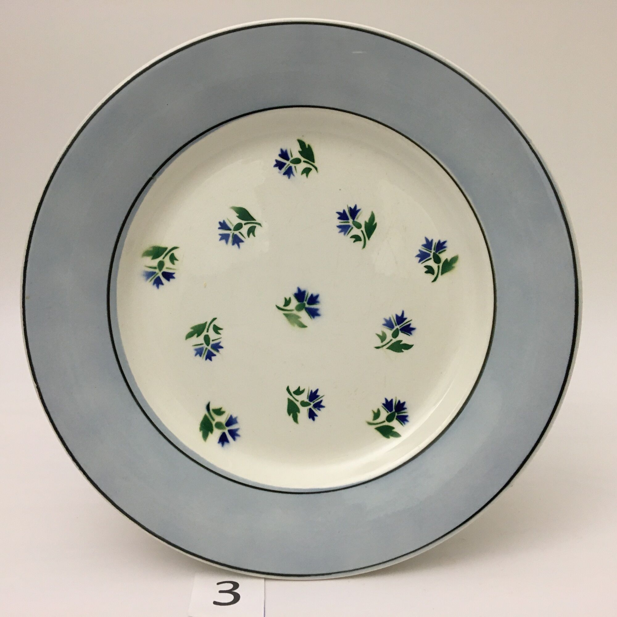 Set of 6 plates flat "digoin sarreguemines" model albe