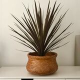 Wicker basket