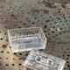 Transparent mold glass box with lid, vintage