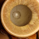 Denbac - Two vases - France - 1920-1949 - Art Deco style ceramics