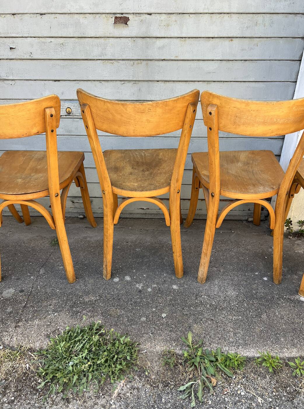 (Lot) 5 Bistro Chairs Luterma (Honey)