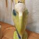 Pitcher slip Saint Clement