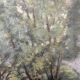 Painting "Trees on the edge of a pond", A.Beauvarlet, Oil on wood