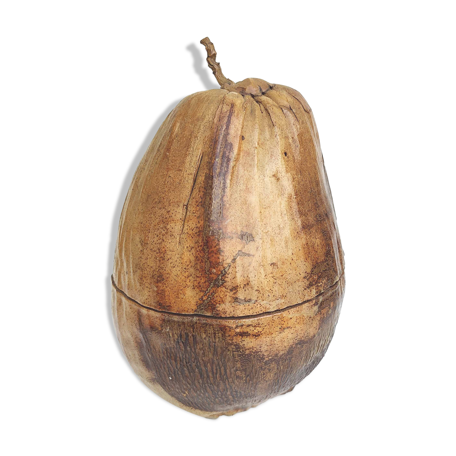 Vintage coconut ice bucket