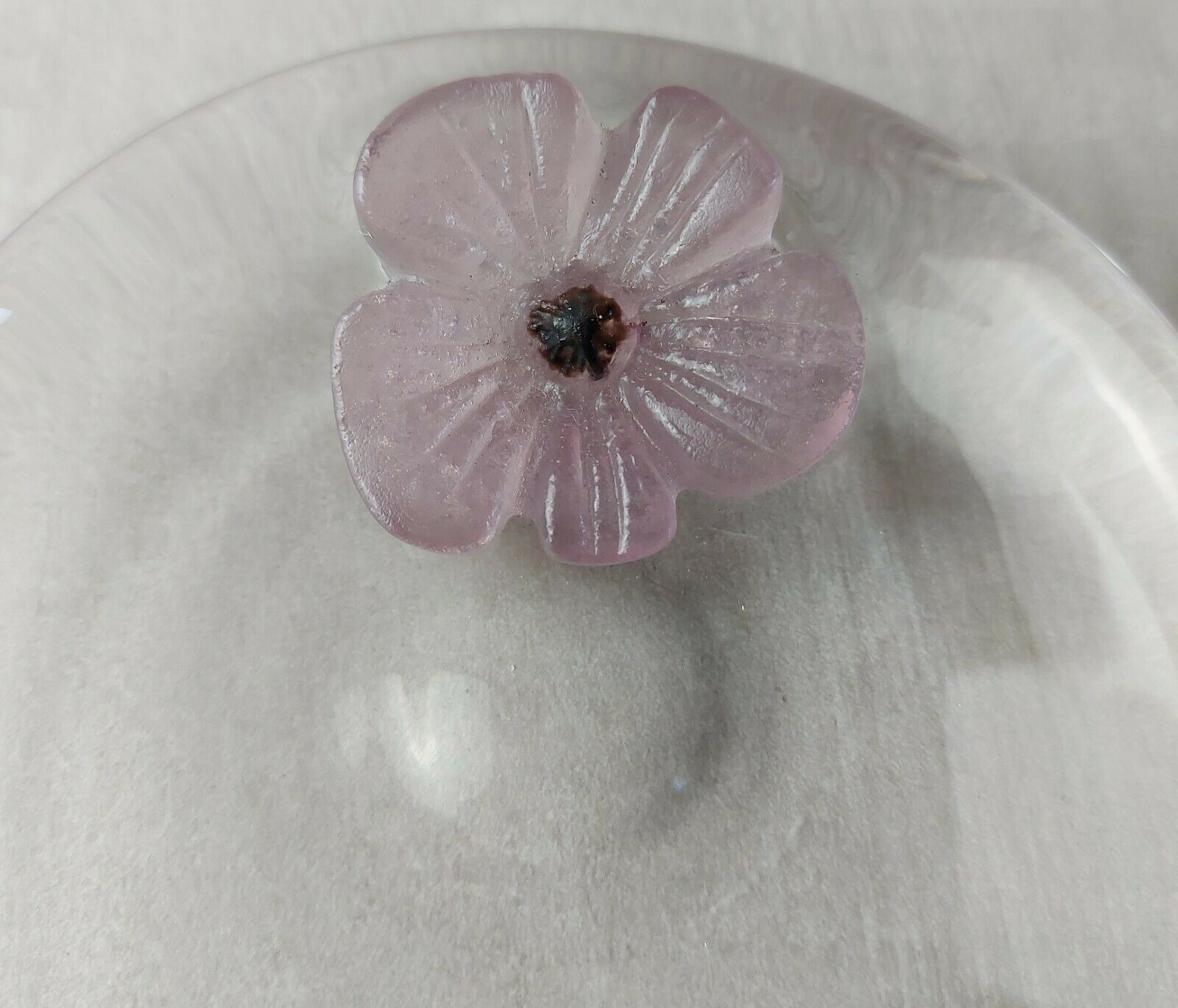 Trinket bowl, flower cactus, Mc Connico Daum