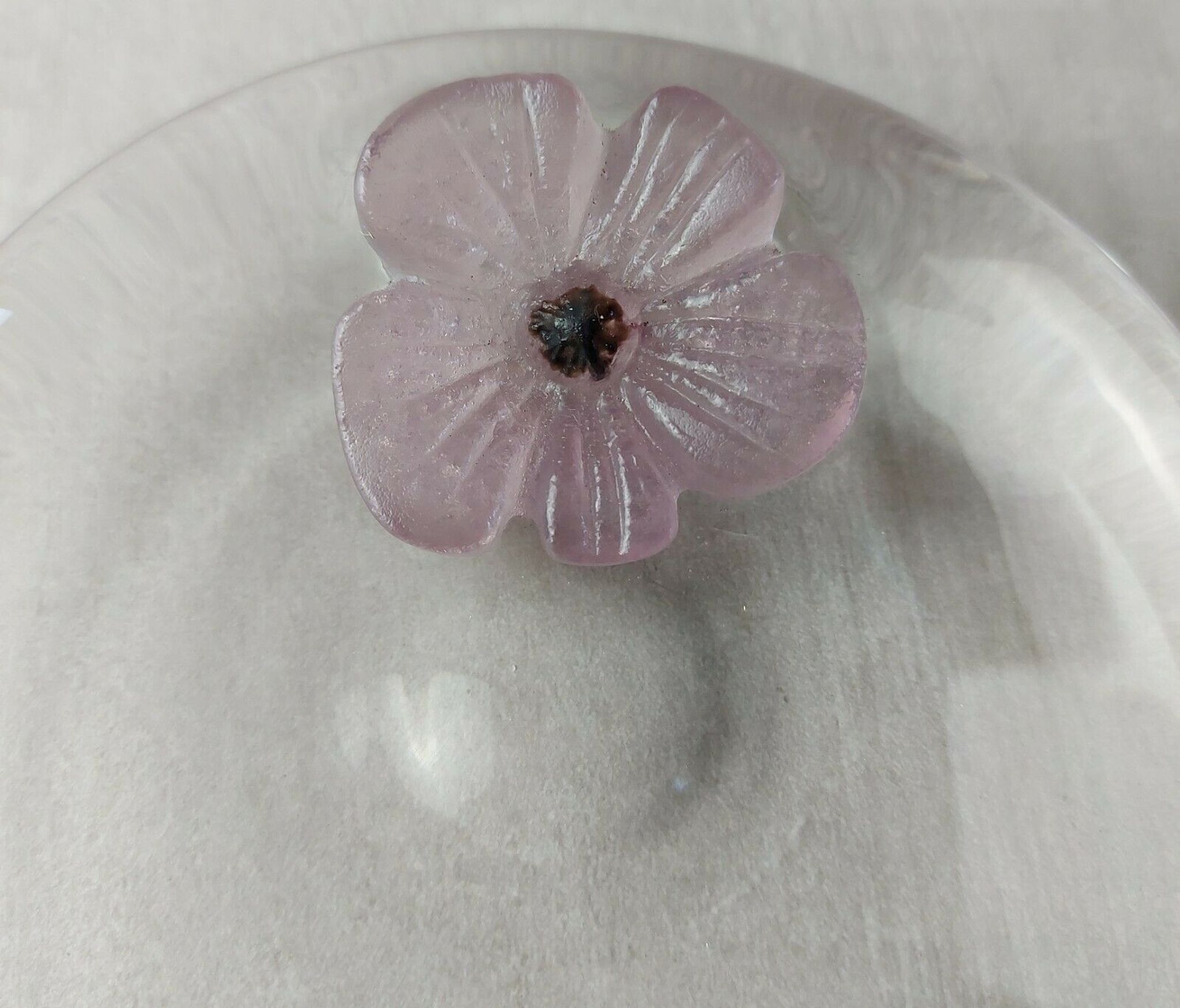 Trinket bowl, flower cactus, Mc Connico Daum