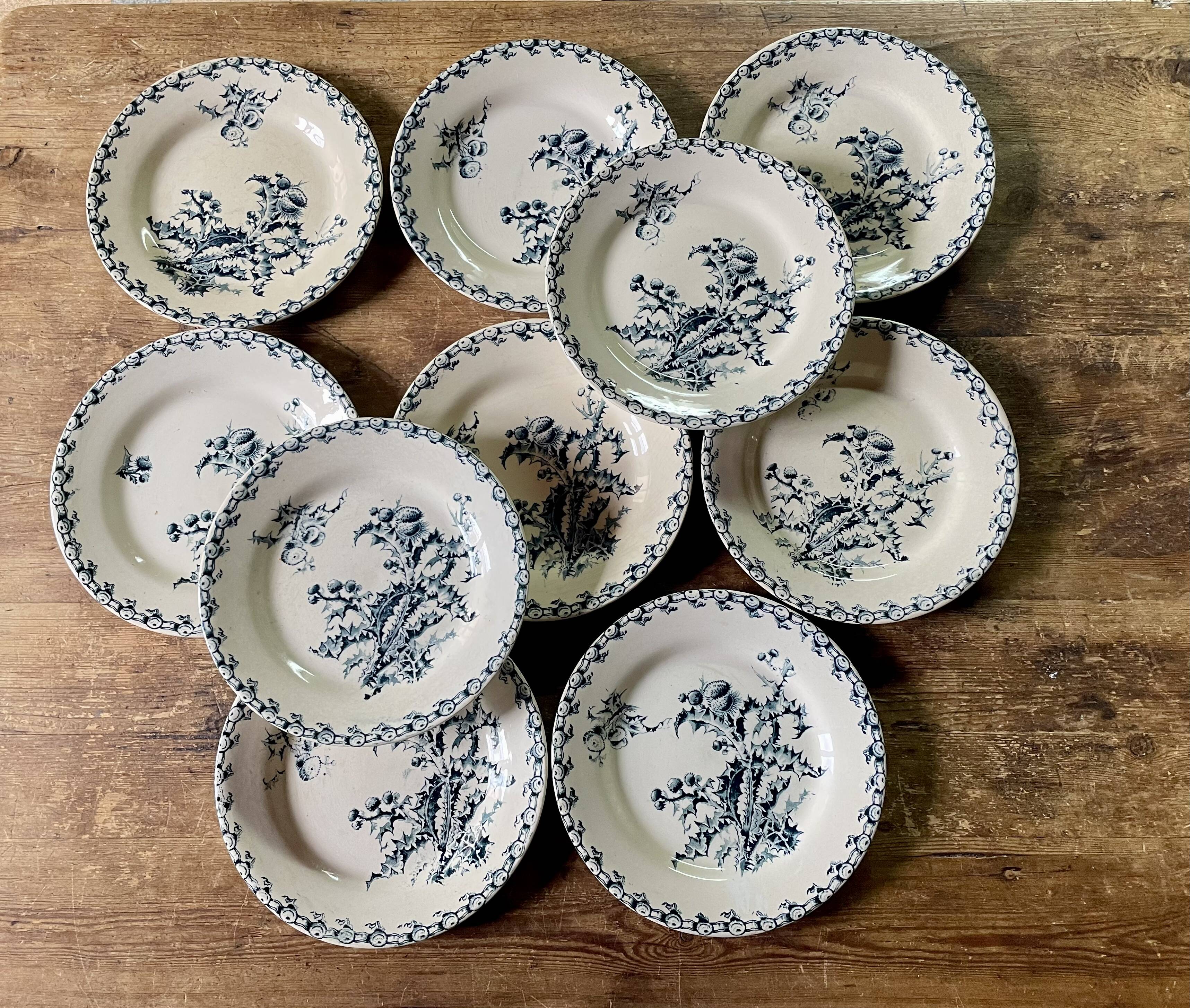 10 plates thistles Gien