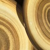 6 Flat plates sandstone Longchamp brown straw