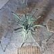Table ronde en verre & 4 chaises