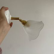 Paire d’appliques murales avec globes vintage