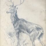 Drawing signed deer in charcoal