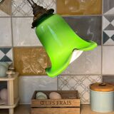 Desk lamp lampshade tulip