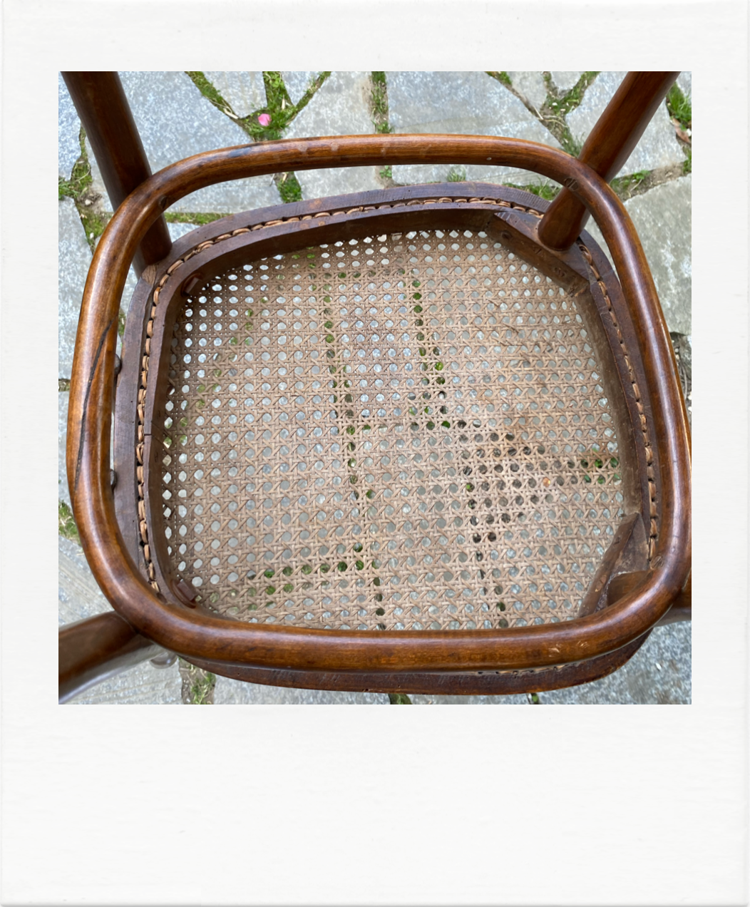 Duo of chairs Thonet bistro