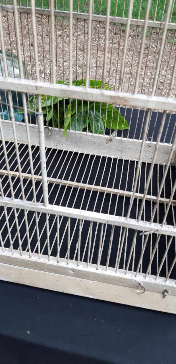 large wooden and iron birdcage 1930s