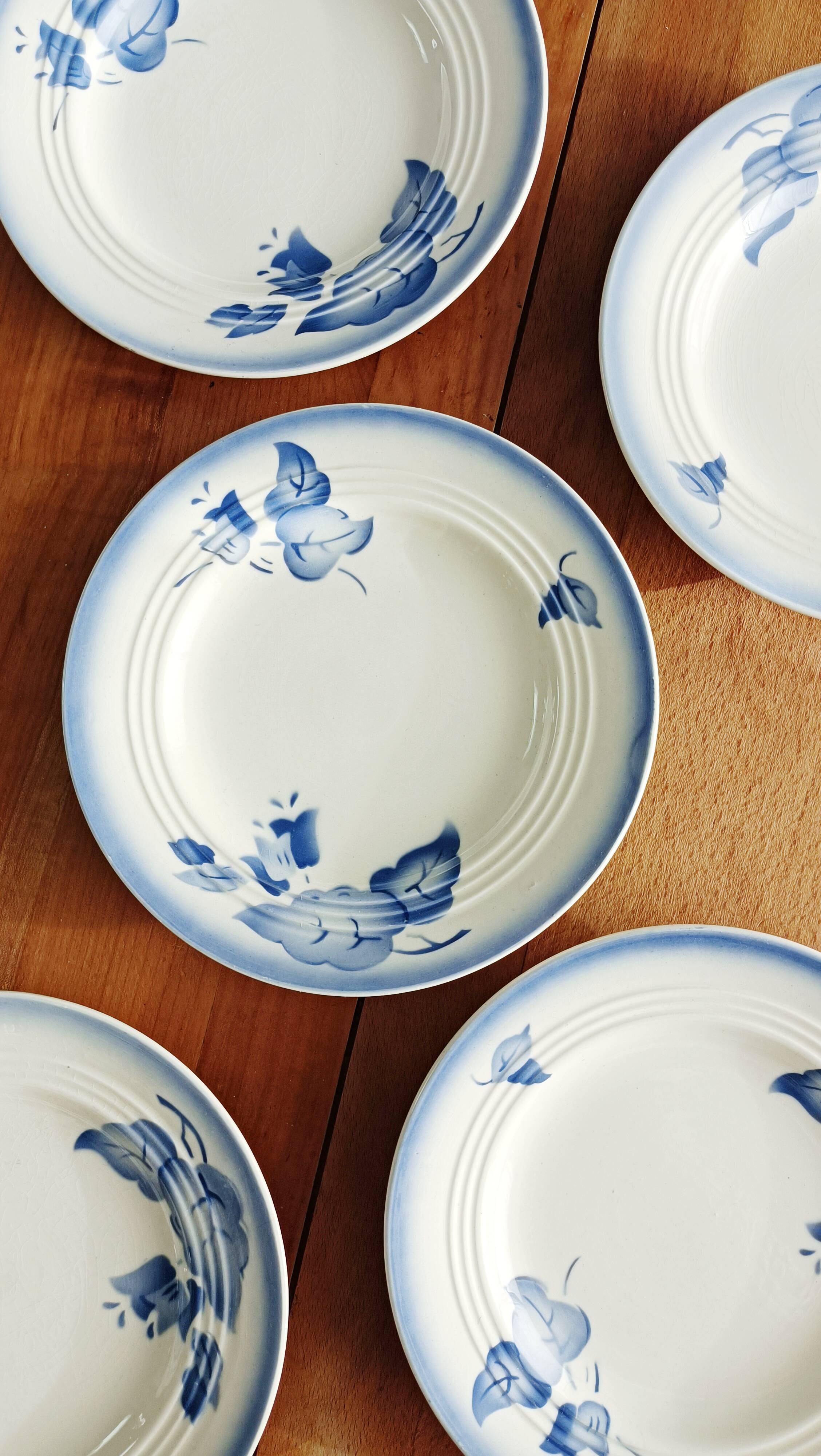 Set of 5 dessert plates, blue floral decoration