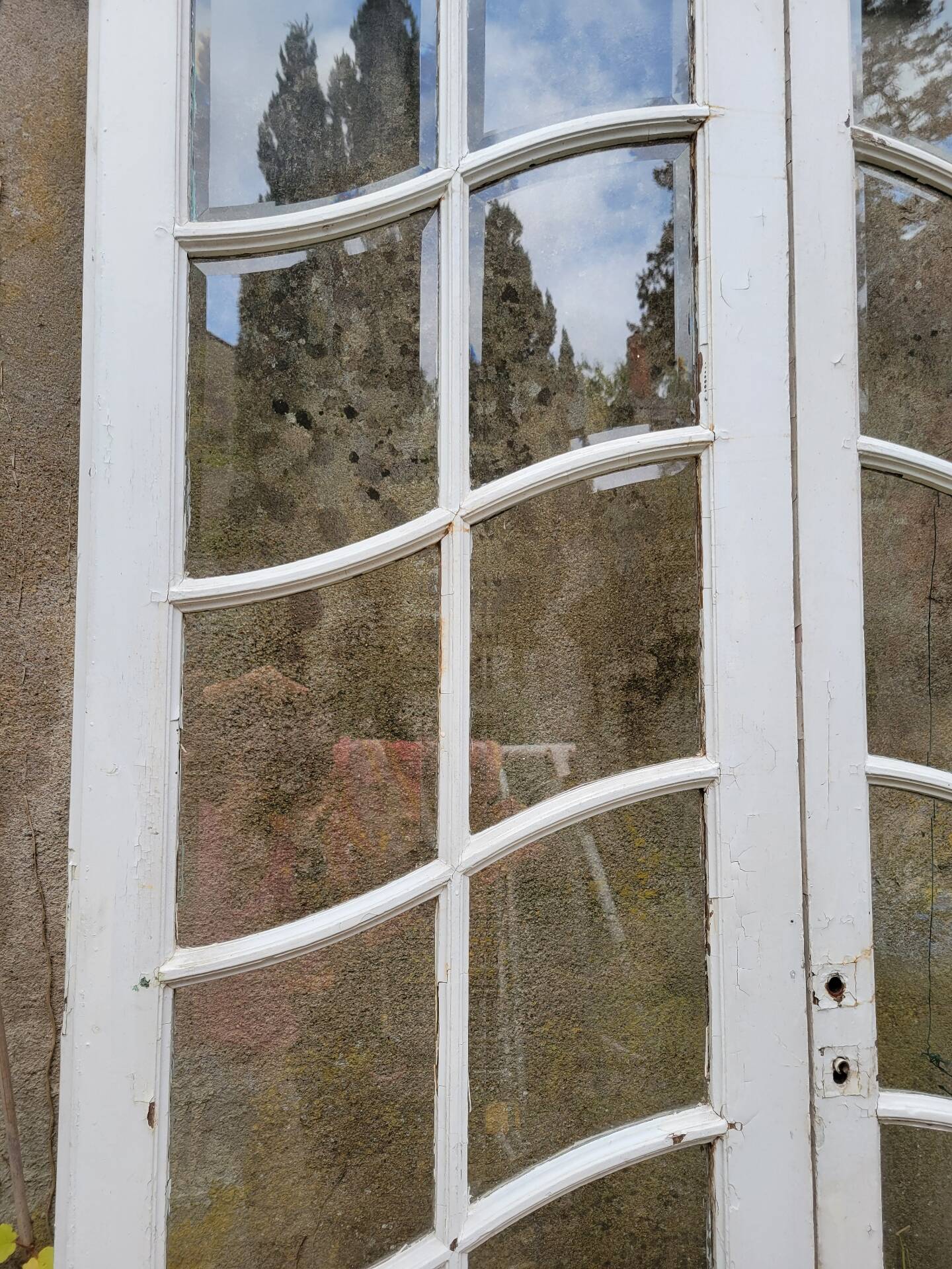 Art Nouveau double doors with small panes.