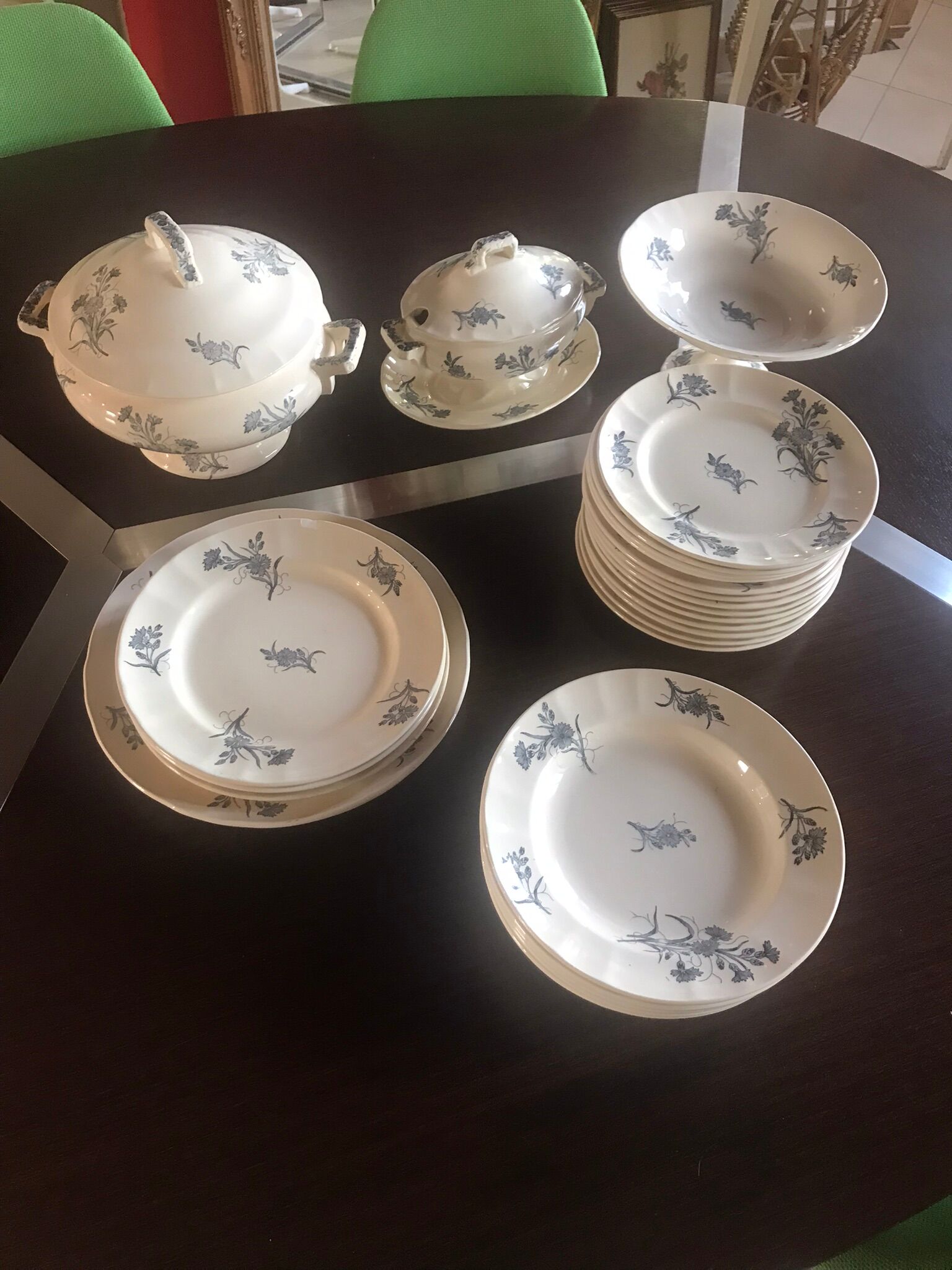 Lot de terre de fer Longchamp modèle Bluets