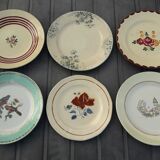 Set of 6 different flat plates