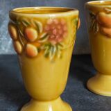 Five slurry mugs with vintage summer fruit