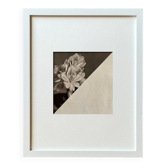 Fleur dans le noir - Collage original