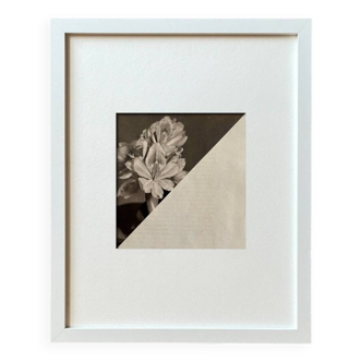 Fleur dans le noir - Collage original