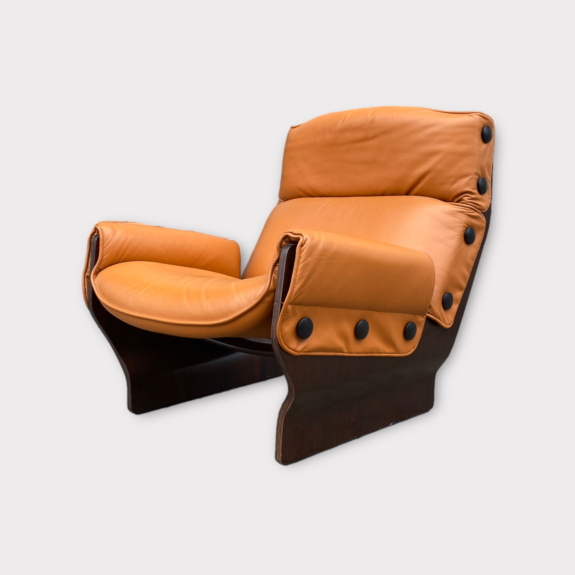 Lounge chair P110 Canada by Osvaldo Borsani for Techno, 1970s
