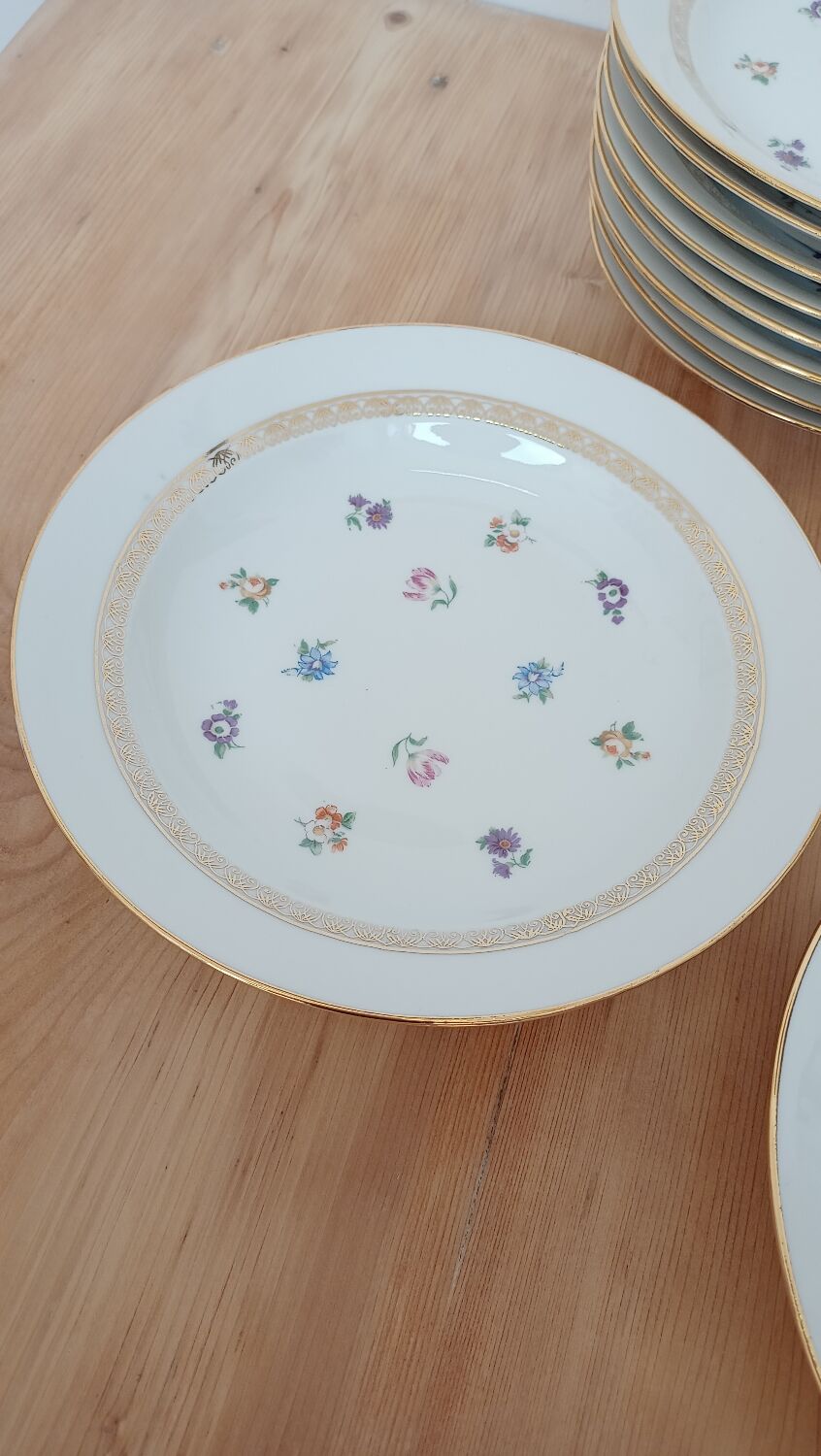 Hollow porcelain plates