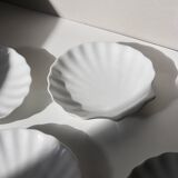 White shell cup