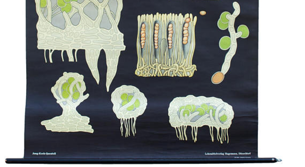 Poster of the Jung-Koch-Quentell School, Flat, 1969