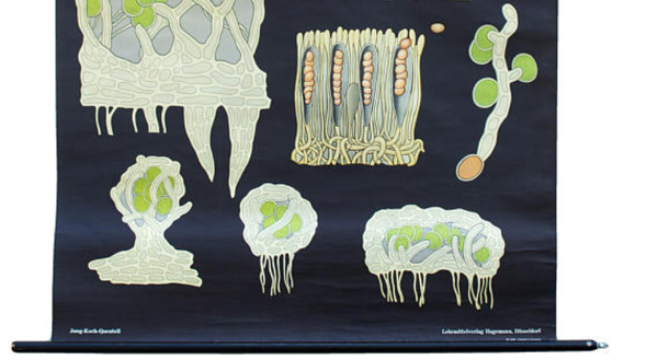 Affiche de l’école de Jung-Koch-Quentell, plat, 1969