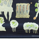 Poster of the Jung-Koch-Quentell School, Flat, 1969