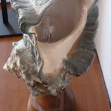 Shell lamp