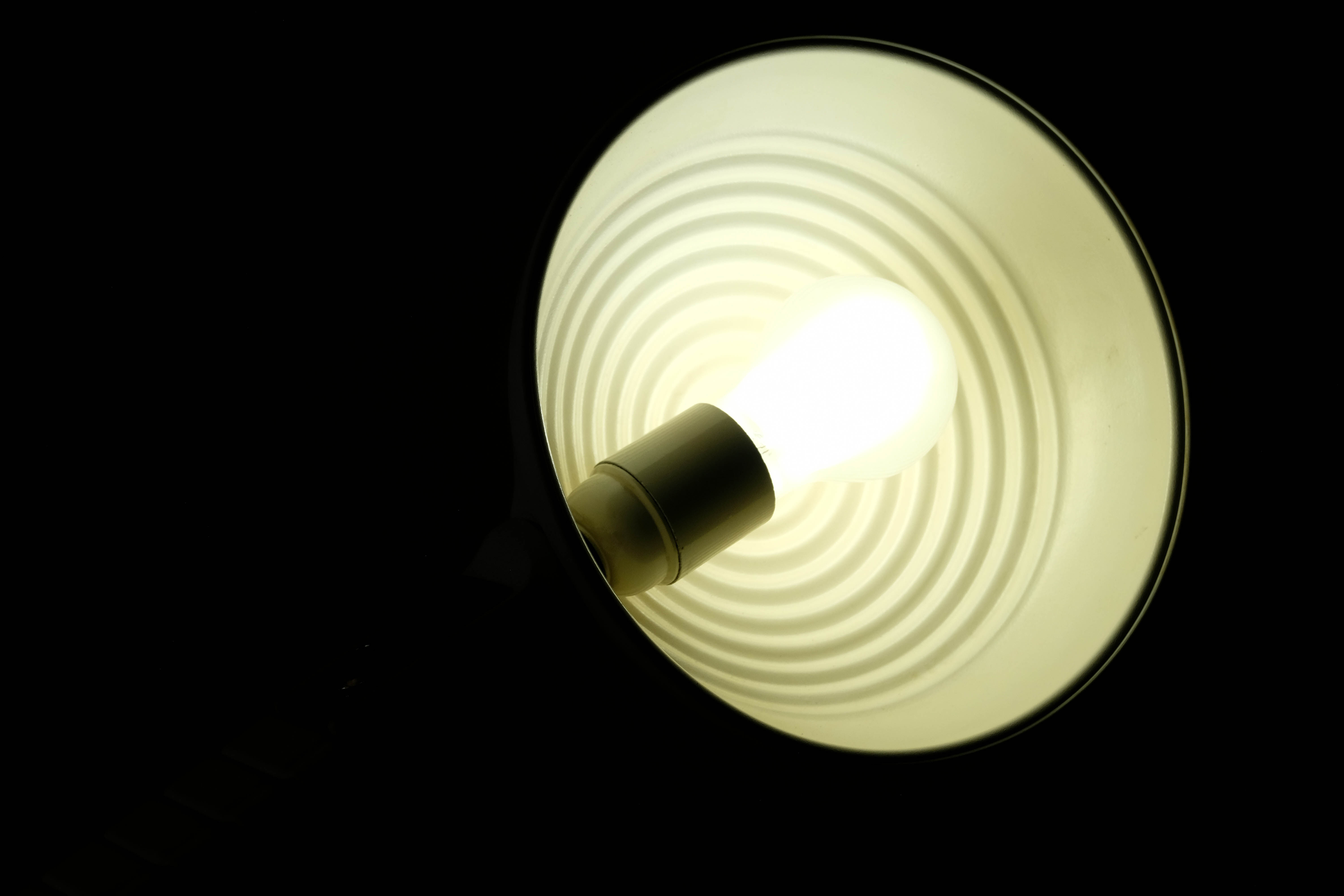 Vertebra Lamp by Martinelli 1970's