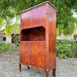 19th Century Transition Style Marquetry Storage Unit