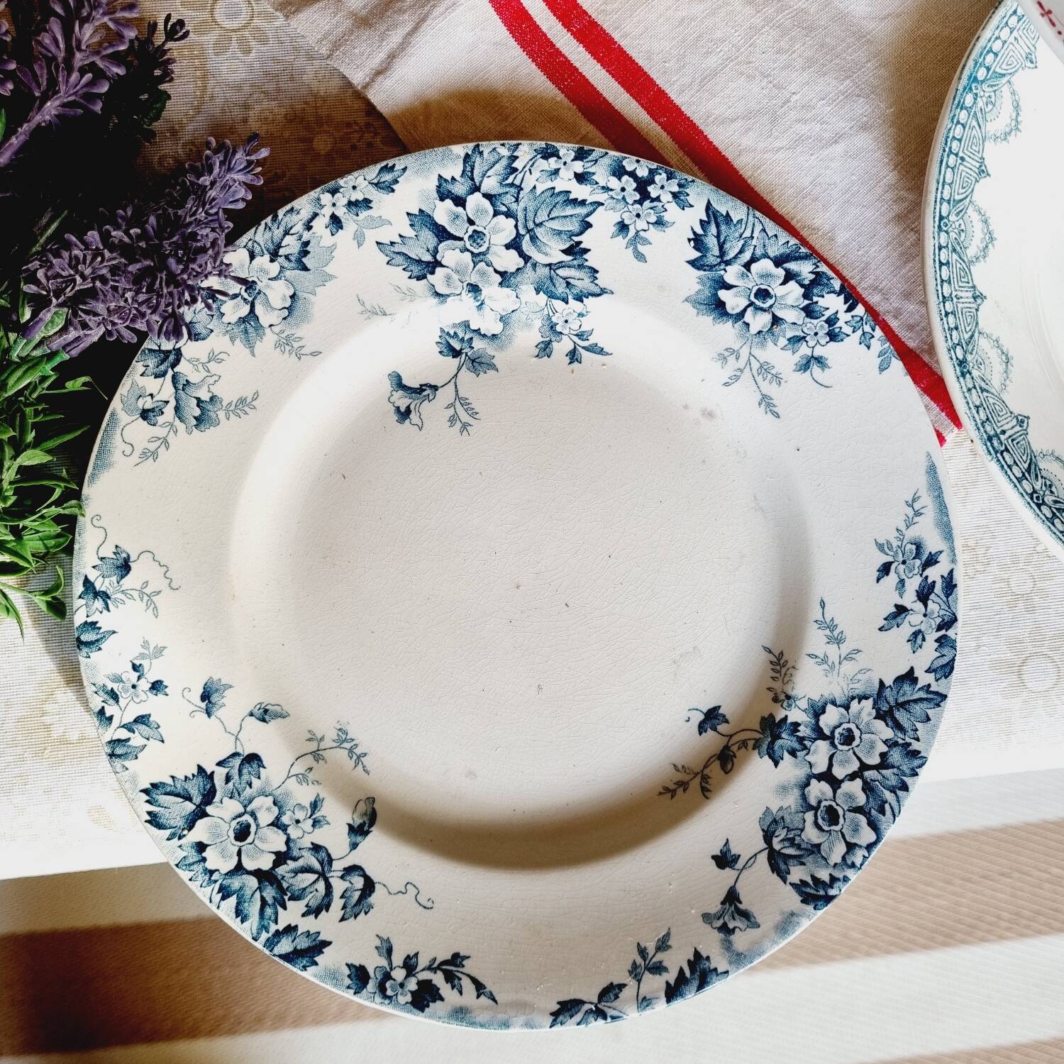 Lot de 6 assiettes plates terre de fer dépareillées