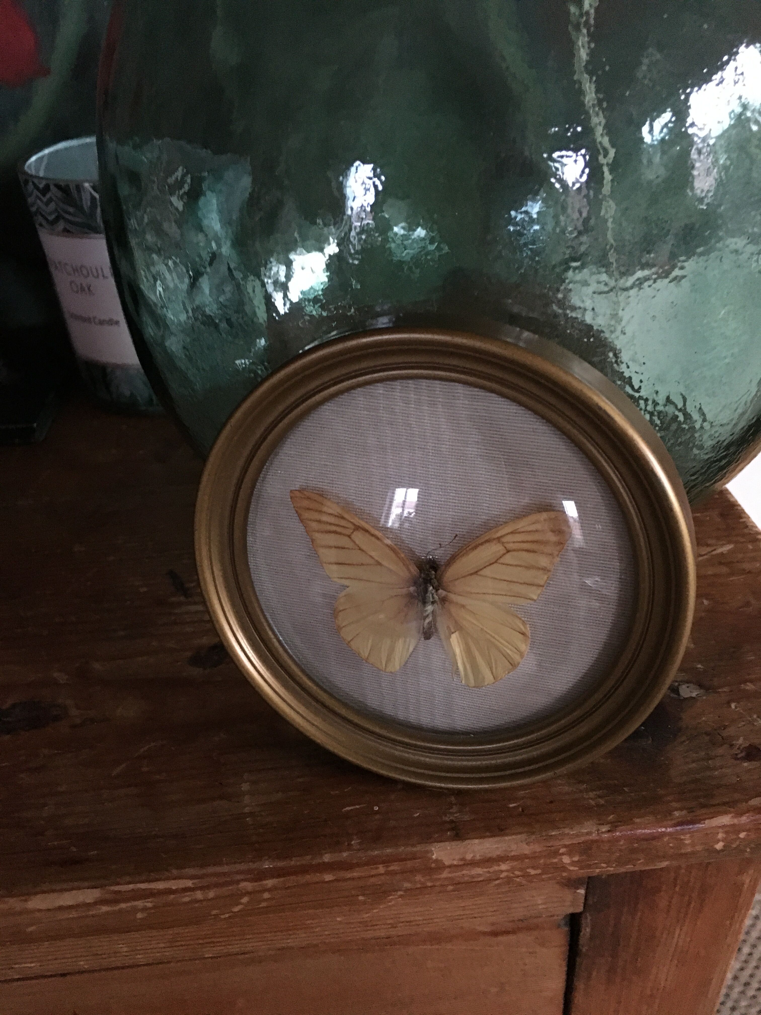 Butterfly frame