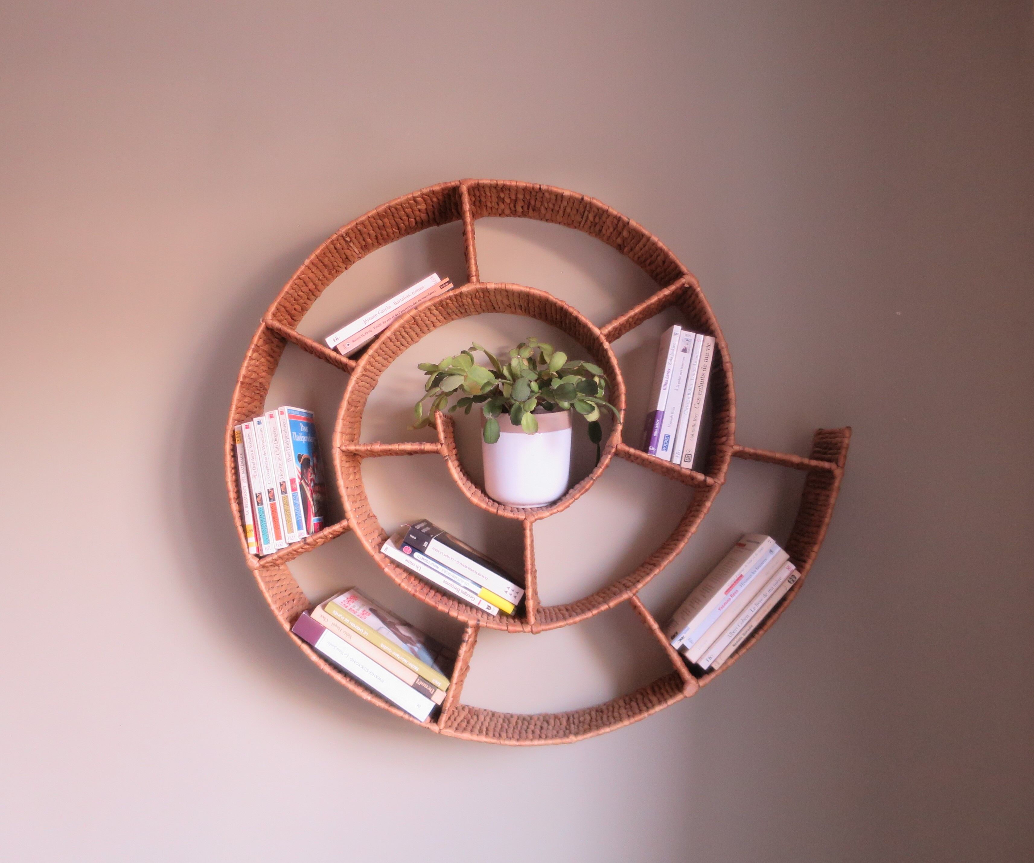 Round snail spiral shelf in sea rush