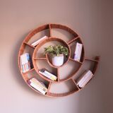 Round snail spiral shelf in sea rush